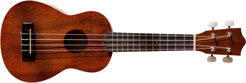 Hawaiian Ukulele Guitar