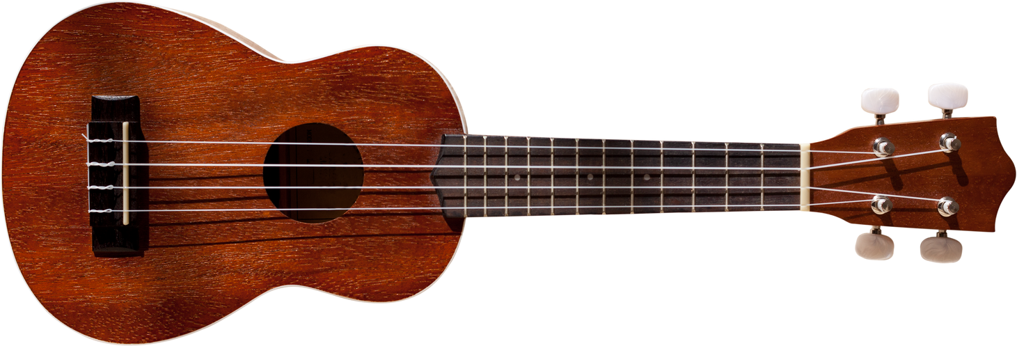 Hawaiian Ukulele Guitar